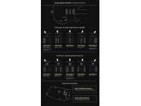 PRS SE Chleo Herman Li CPB PRS SE Chleo Herman Li CPB
